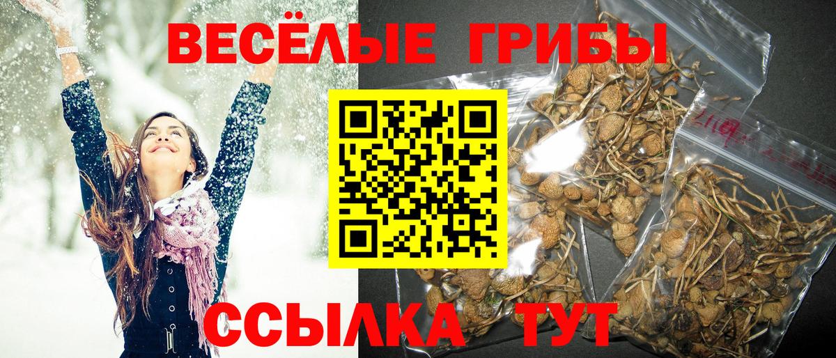 Галлюциногенные грибы мицелий Михайловка